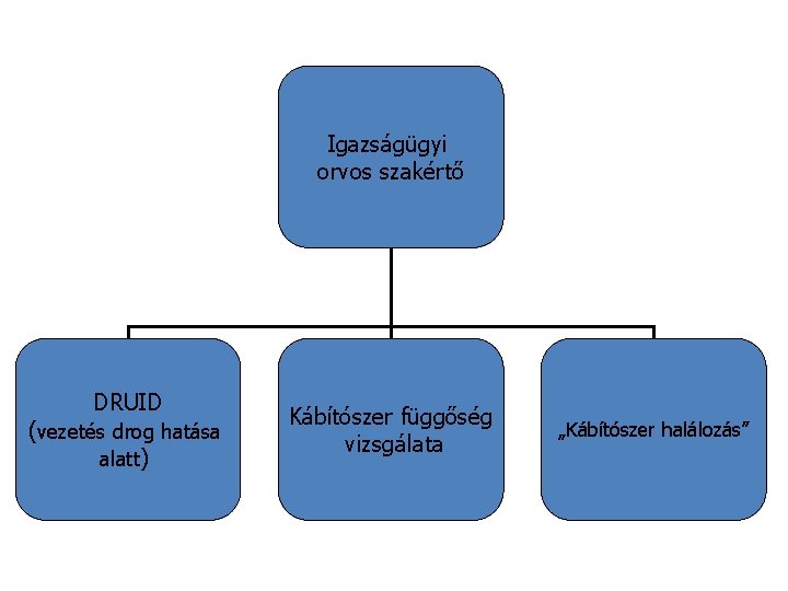 Igazságügyi orvos szakértő DRUID (vezetés drog hatása alatt) Kábítószer függőség vizsgálata „Kábítószer halálozás” 