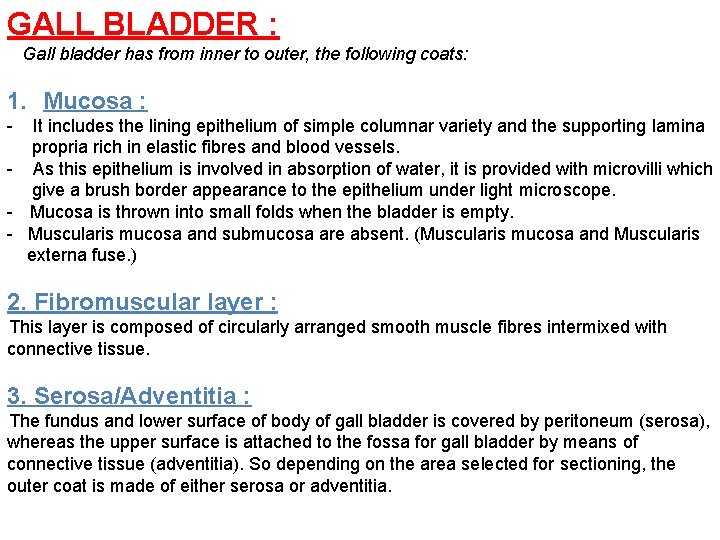 GALL BLADDER : Gall bladder has from inner to outer, the following coats: 1.