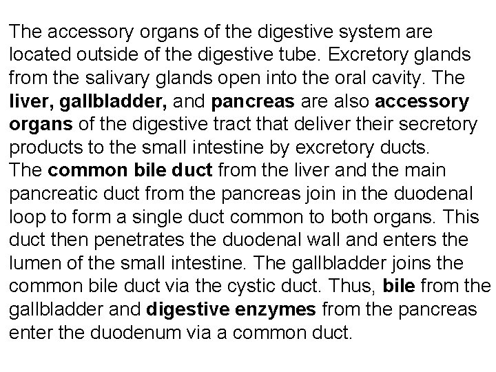 The accessory organs of the digestive system are located outside of the digestive tube.