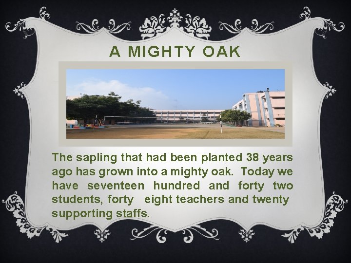 A MIGHTY OAK The sapling that had been planted 38 years ago has grown