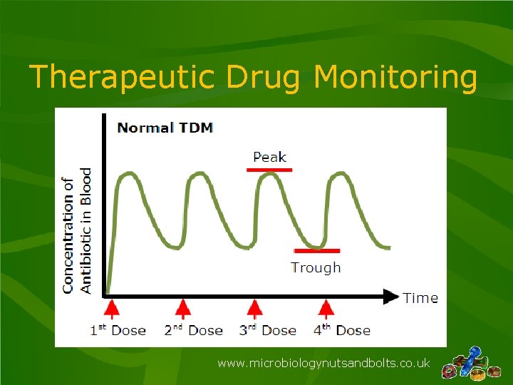 Therapeutic Drug Monitoring www. microbiologynutsandbolts. co. uk 