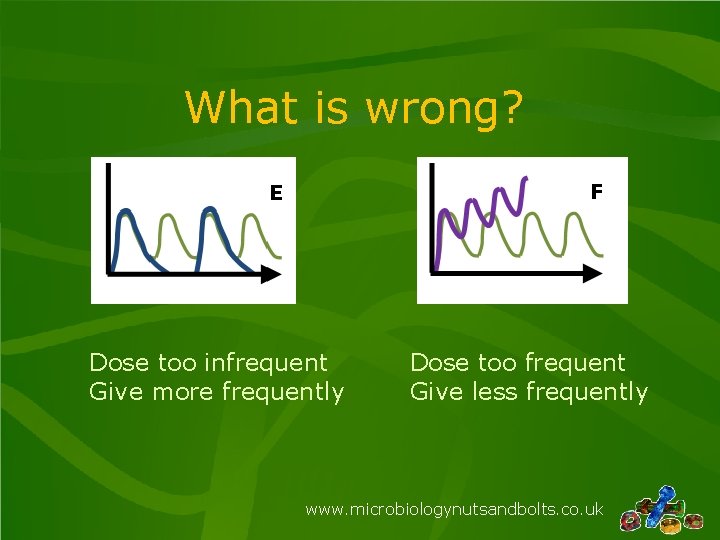 What is wrong? Dose too infrequent Give more frequently Dose too frequent Give less
