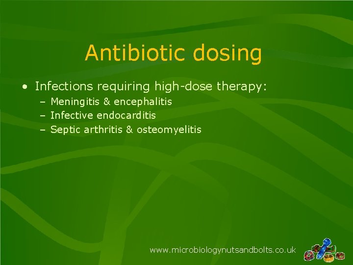 Antibiotic dosing • Infections requiring high-dose therapy: – Meningitis & encephalitis – Infective endocarditis