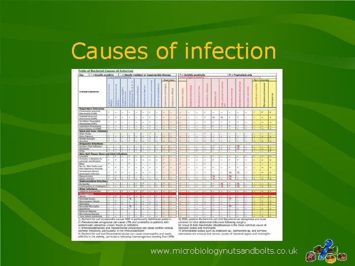 Causes of infection www. microbiologynutsandbolts. co. uk 