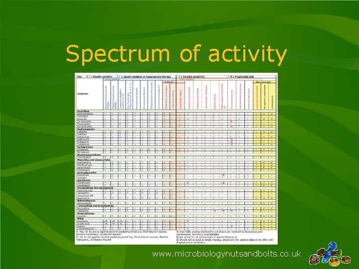 Spectrum of activity www. microbiologynutsandbolts. co. uk 