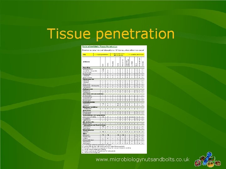 Tissue penetration www. microbiologynutsandbolts. co. uk 