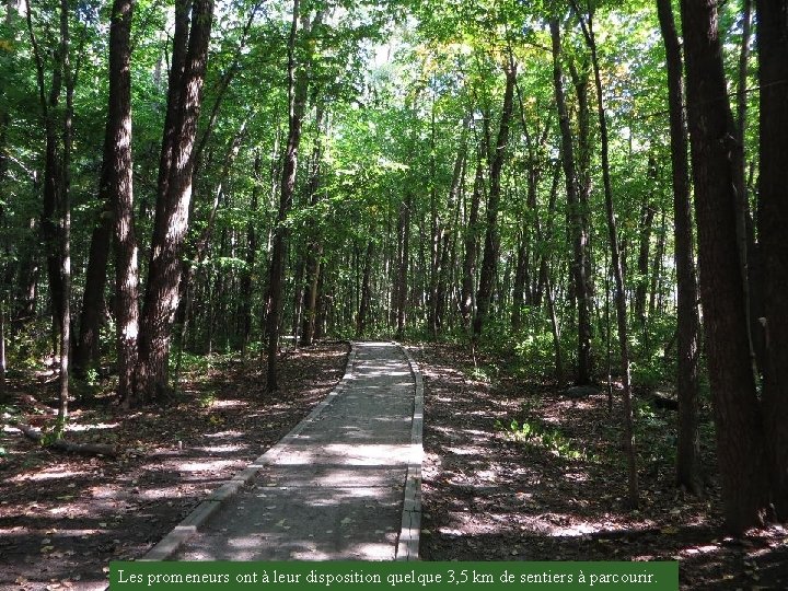 Les promeneurs ont à leur disposition quelque 3, 5 km de sentiers à parcourir.