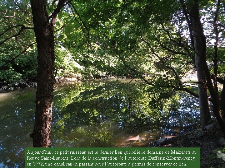 Aujourd’hui, ce petit ruisseau est le dernier lien qui relie le domaine de Maizerets