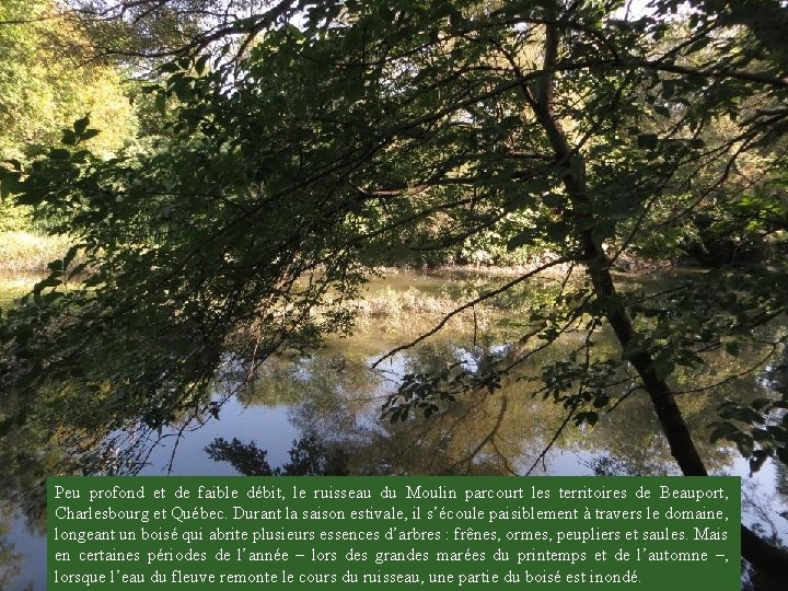 Peu profond et de faible débit, le ruisseau du Moulin parcourt les territoires de