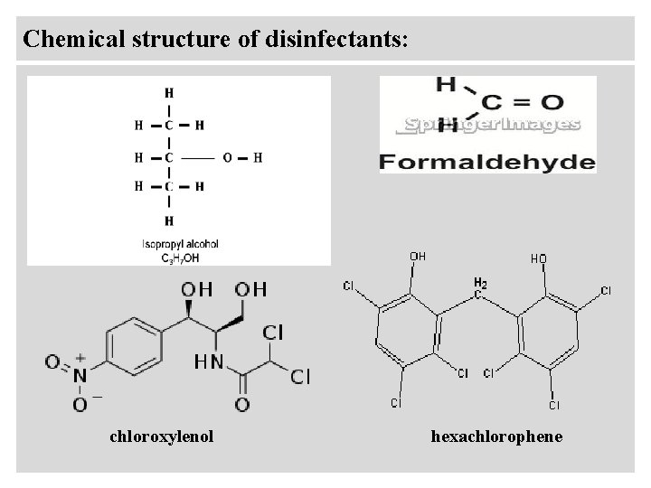 Chemical structure of disinfectants: chloroxylenol hexachlorophene 