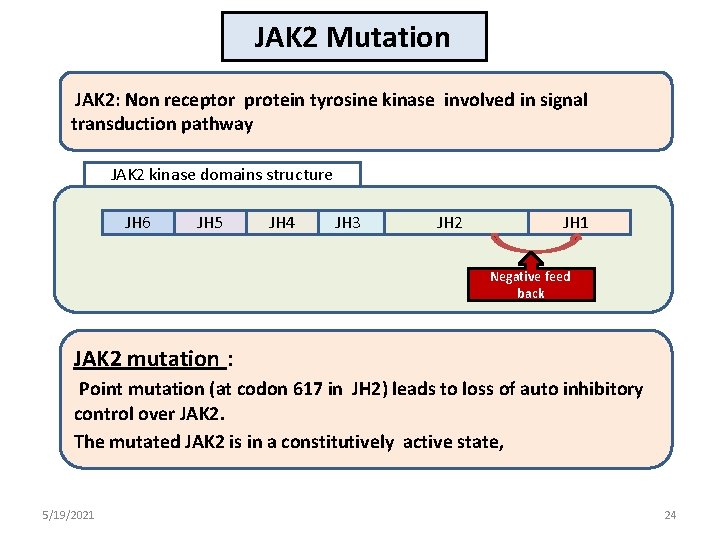 JAK 2 Mutation JAK 2: Non receptor protein tyrosine kinase involved in signal transduction
