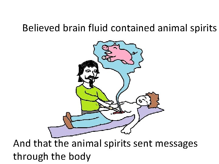 Believed brain fluid contained animal spirits And that the animal spirits sent messages through