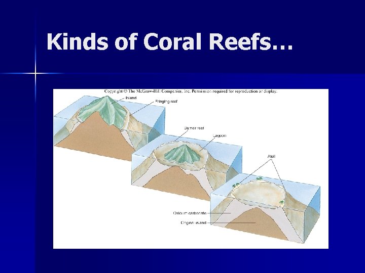 Kinds of Coral Reefs… 