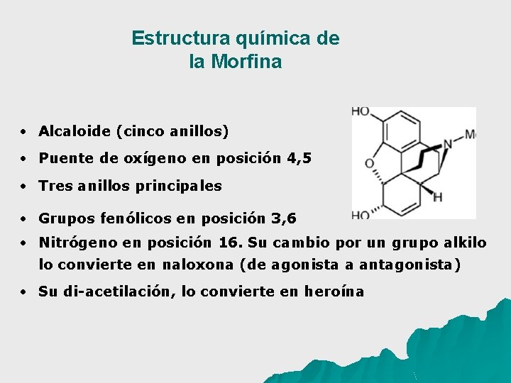 Estructura química de la Morfina • Alcaloide (cinco anillos) • Puente de oxígeno en