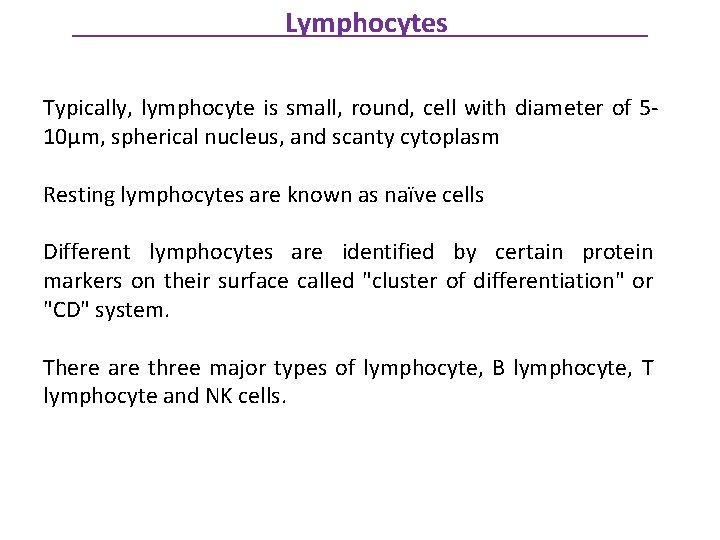 Lymphocytes Typically, lymphocyte is small, round, cell with diameter of 510μm, spherical nucleus, and
