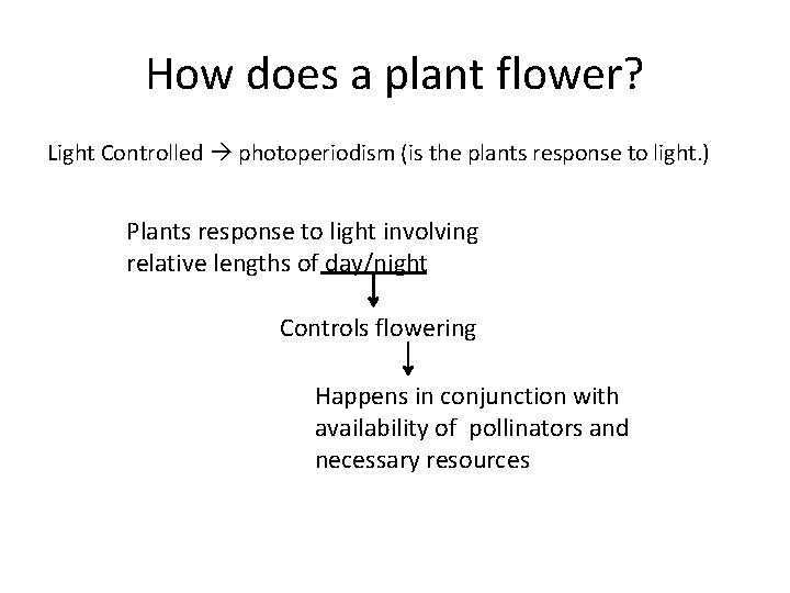 How does a plant flower? Light Controlled photoperiodism (is the plants response to light.