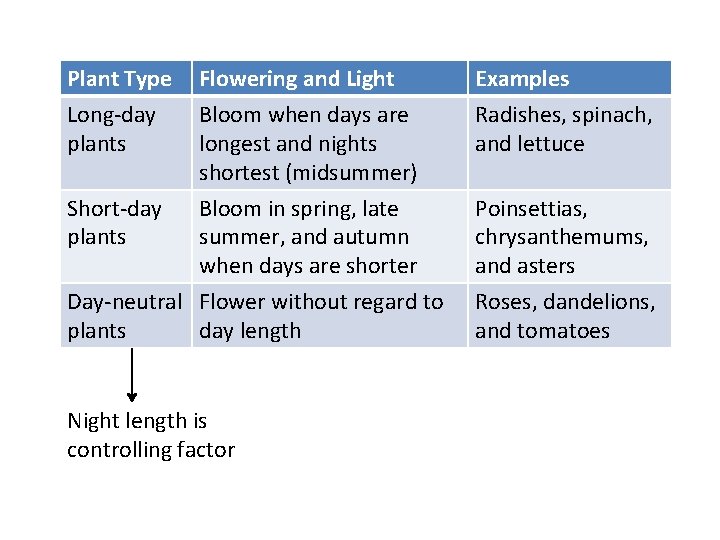 Plant Type Long-day plants Flowering and Light Bloom when days are longest and nights