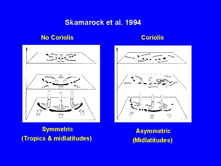 Skamarock et al. 1994 No Coriolis Symmetric (Tropics & midlatitudes) Asymmetric (Midlatitudes) 