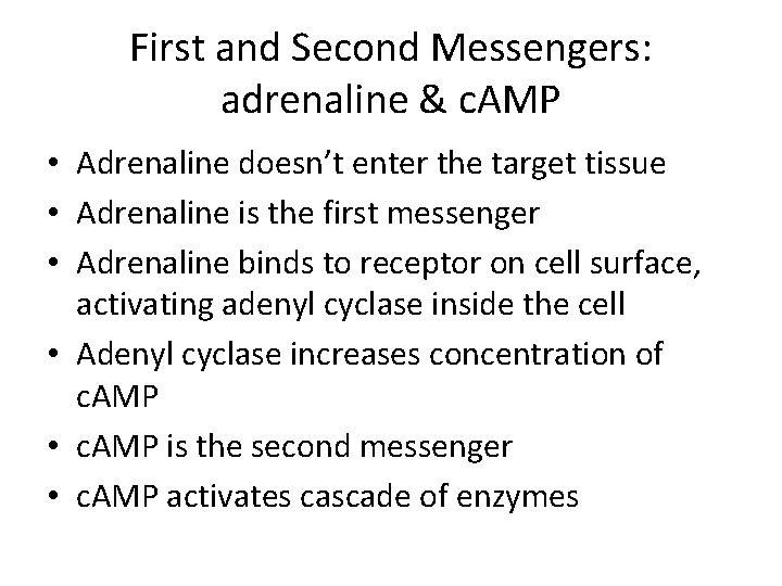 First and Second Messengers: adrenaline & c. AMP • Adrenaline doesn’t enter the target