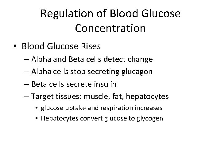 Regulation of Blood Glucose Concentration • Blood Glucose Rises – Alpha and Beta cells