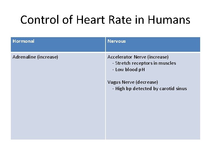 Control of Heart Rate in Humans Hormonal Nervous Adrenaline (increase) Accelerator Nerve (increase) -