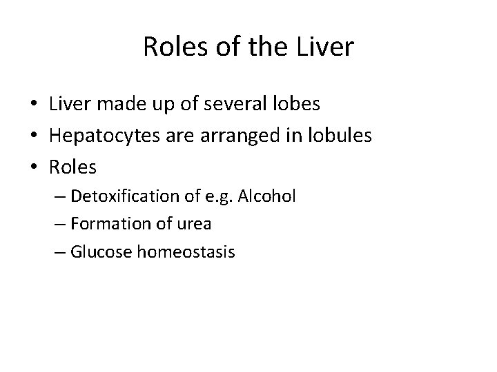 Roles of the Liver • Liver made up of several lobes • Hepatocytes are