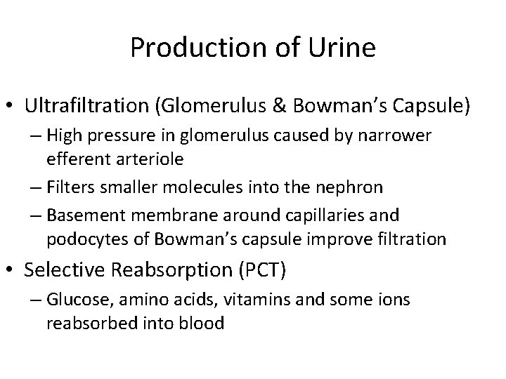 Production of Urine • Ultrafiltration (Glomerulus & Bowman’s Capsule) – High pressure in glomerulus