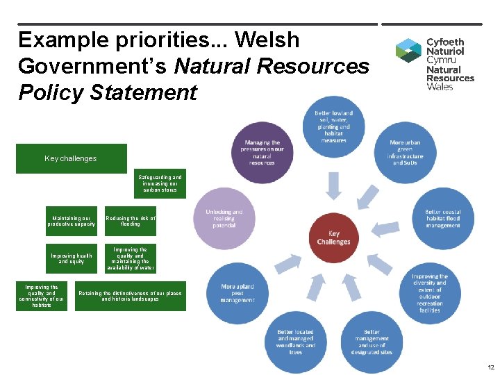 Example priorities. . . Welsh Government’s Natural Resources Policy Statement Key challenges Safeguarding and