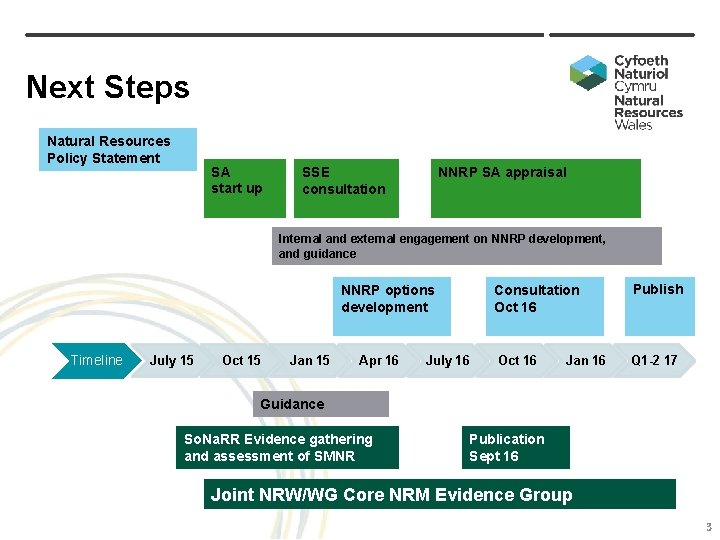 Next Steps Natural Resources Policy Statement SA start up NNRP SA appraisal SSE consultation