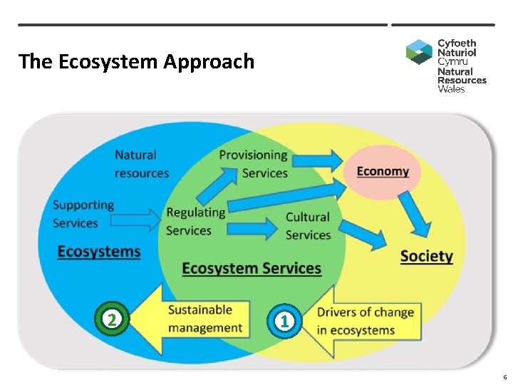 The Ecosystem Approach 2 1 6 