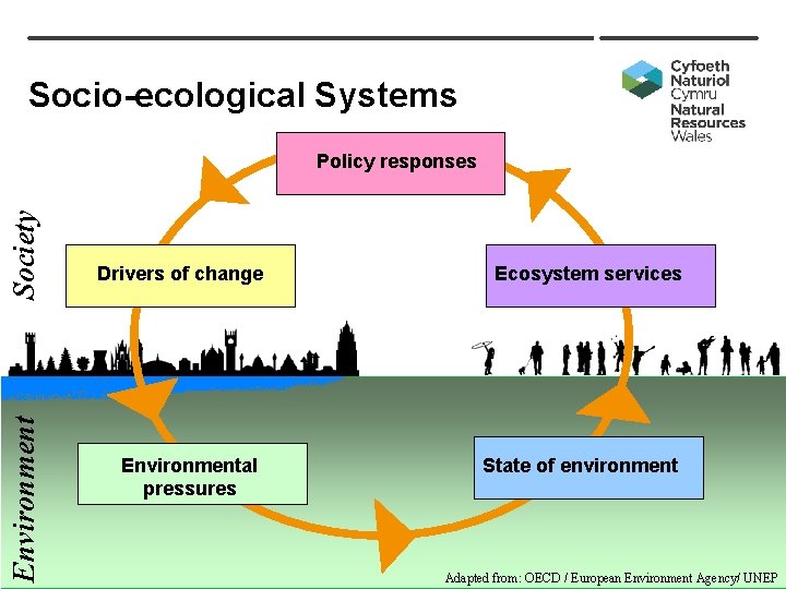 Socio-ecological Systems Environment Society Policy responses Drivers of change Ecosystem services Environmental pressures State