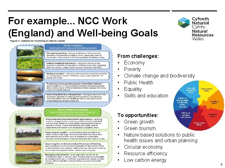 For example. . . NCC Work (England) and Well-being Goals From challenges: • Economy