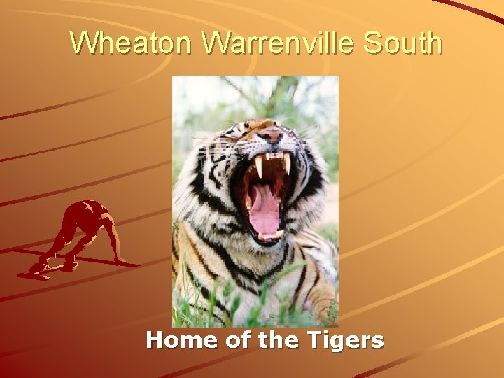 Wheaton Warrenville South Home of the Tigers 