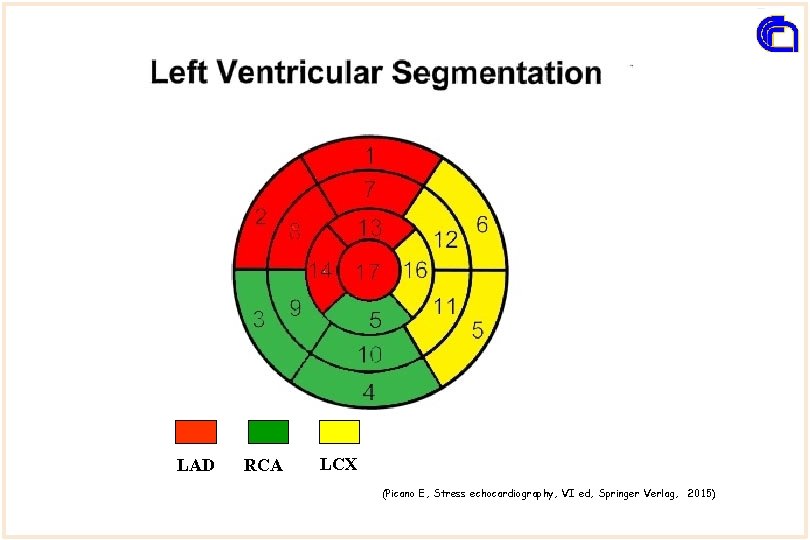 LAD RCA LCX (Picano E, Stress echocardiography, VI ed, Springer Verlag, 2015) 