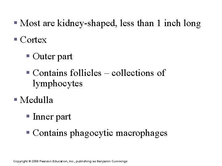 Lymph Node Structure § Most are kidney-shaped, less than 1 inch long § Cortex