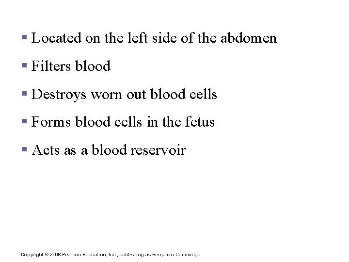 The Spleen § Located on the left side of the abdomen § Filters blood