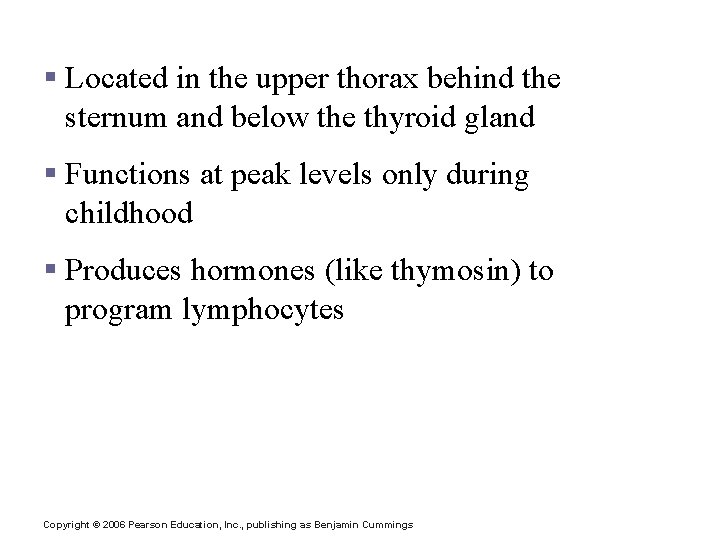 The Thymus § Located in the upper thorax behind the sternum and below the