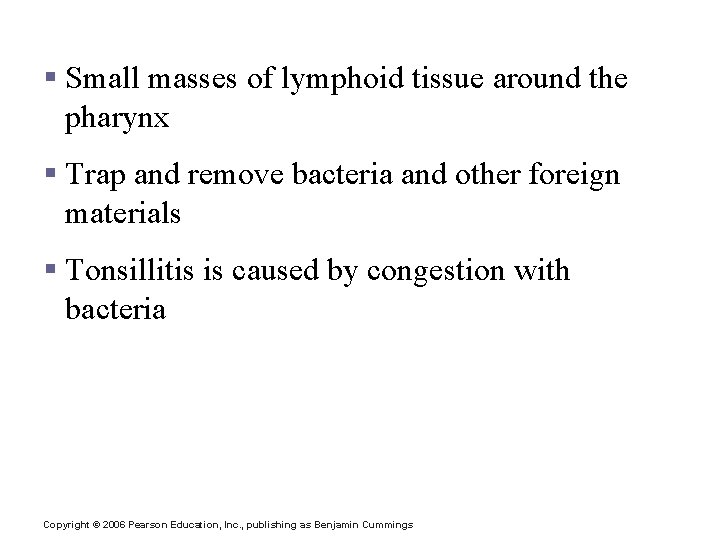 Tonsils § Small masses of lymphoid tissue around the pharynx § Trap and remove