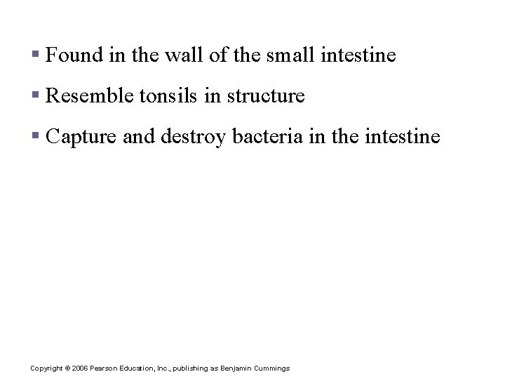 Peyer’s Patches § Found in the wall of the small intestine § Resemble tonsils