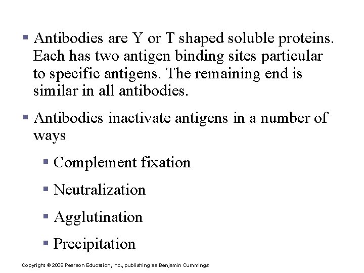 Antibody Function § Antibodies are Y or T shaped soluble proteins. Each has two