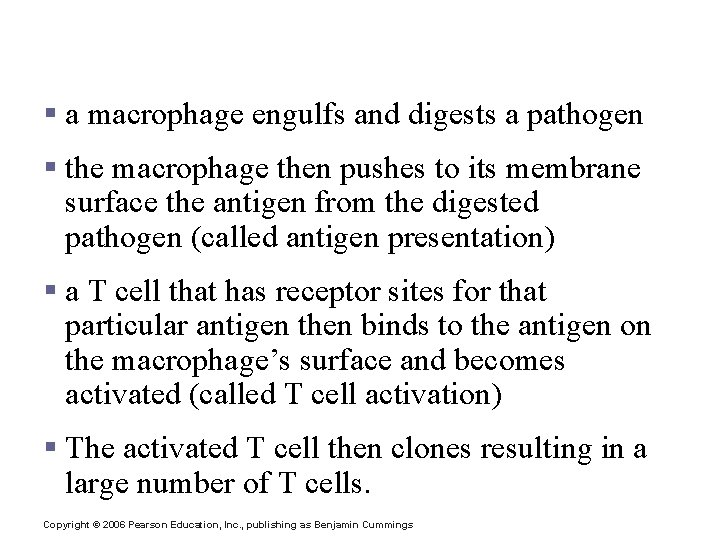 Cellular (Cell-Mediated) Immune Response § a macrophage engulfs and digests a pathogen § the
