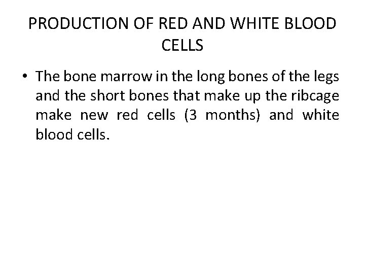 PRODUCTION OF RED AND WHITE BLOOD CELLS • The bone marrow in the long