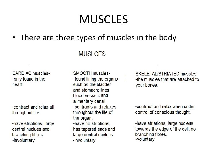 MUSCLES • There are three types of muscles in the body 