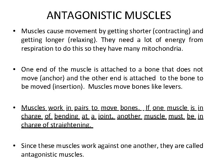 ANTAGONISTIC MUSCLES • Muscles cause movement by getting shorter (contracting) and getting longer (relaxing).