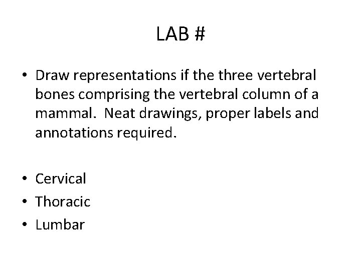 LAB # • Draw representations if the three vertebral bones comprising the vertebral column