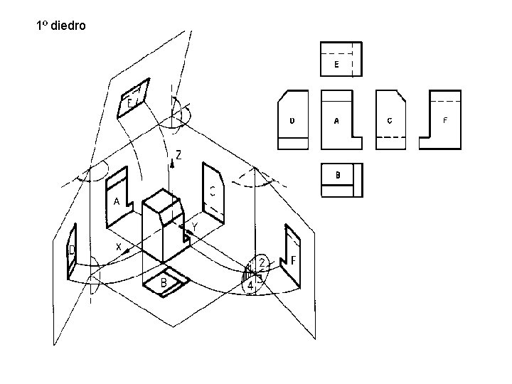 1º diedro 