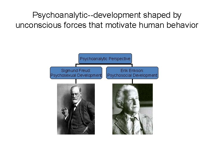 Psychoanalytic--development shaped by unconscious forces that motivate human behavior Psychoanalytic Perspective Sigmund Freud: Psychosexual