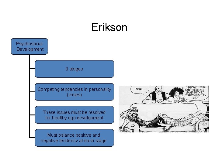 Erikson Psychosocial Development 8 stages Competing tendencies in personality (crises) These issues must be