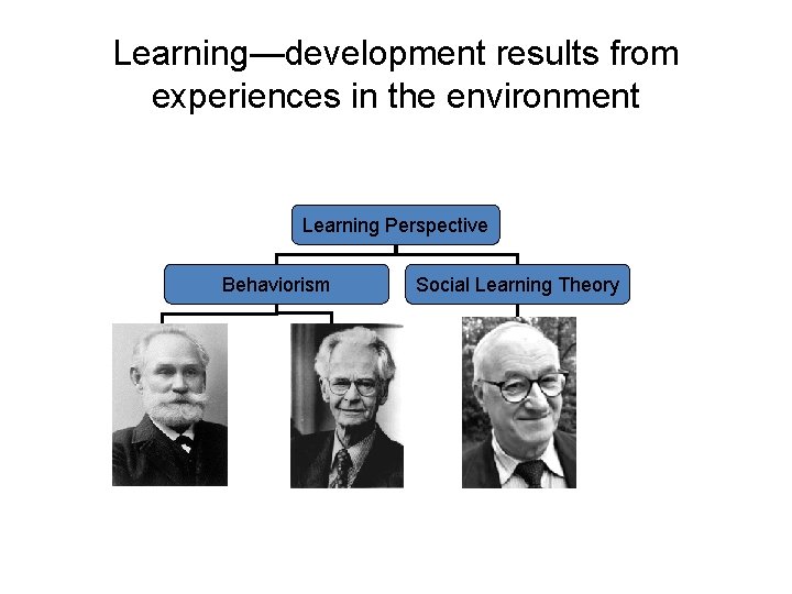 Learning—development results from experiences in the environment Learning Perspective Behaviorism Social Learning Theory 