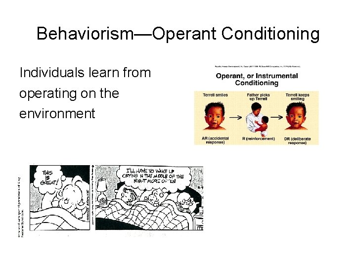Behaviorism—Operant Conditioning Individuals learn from operating on the environment 